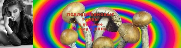 COCAINE Заводоуковск