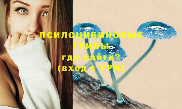 прущая мука Зеленодольск