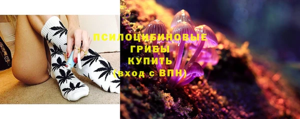 шишки Зеленокумск