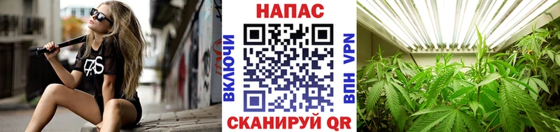 Купить  Екатеринбург  Шишки марихуана конопля 